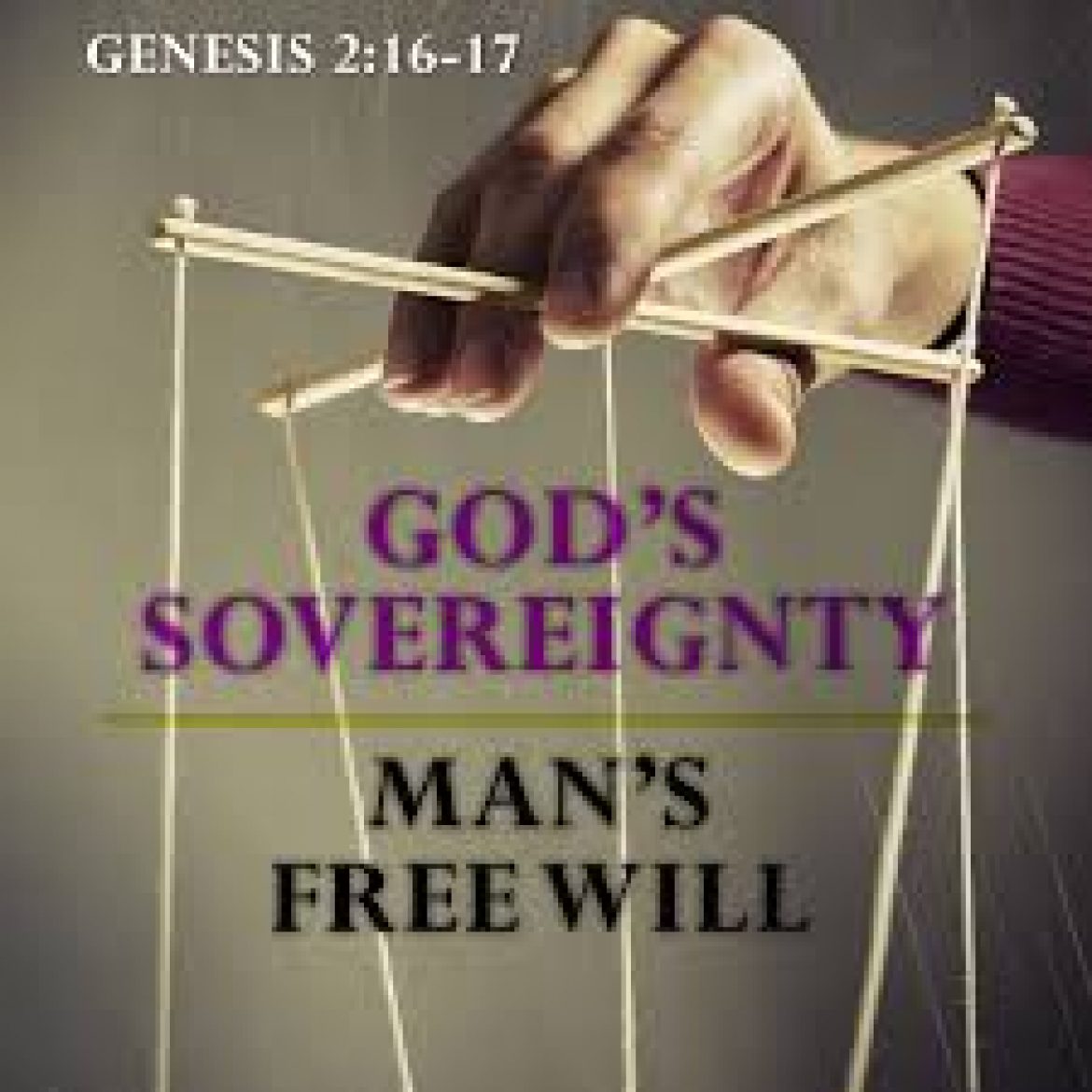 Predestination (Calvinism) and Man’s Freewill